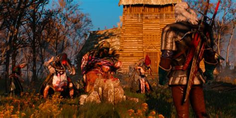 witcher 3 crones